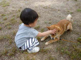 よしよし