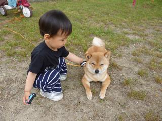 ハル休憩中