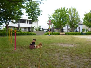 でんわ公園