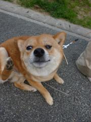 あちちのち