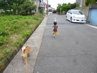自由な帰り道
