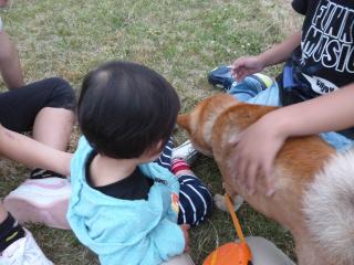 みんなで遊ぶよ