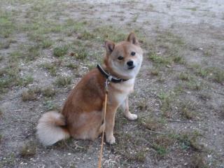 たのしかった