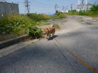 あちー