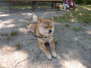 ひとやすみ