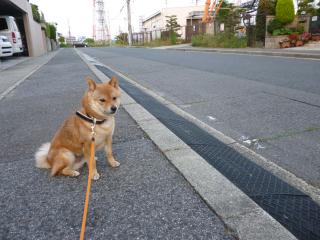 まだかな