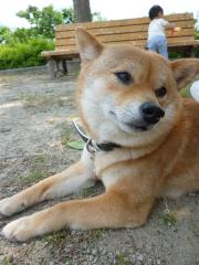 蒸しアツイなぁ