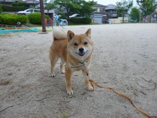雨降る前