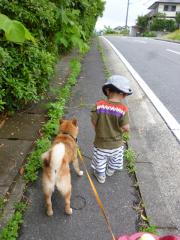狭い歩道