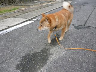 不満?