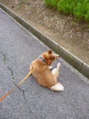 まち~