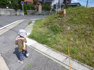 ごきげん散歩