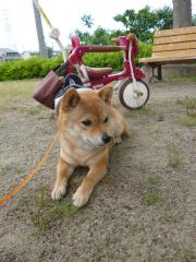 雨やんだね