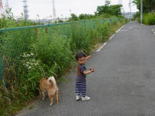 公園よってく?