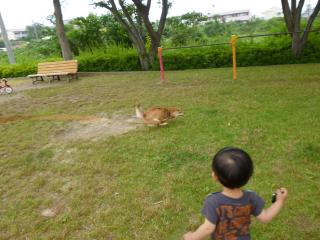 突然ダッシュ