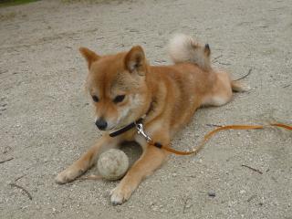 もっと遊びたい
