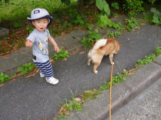 カズペース