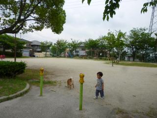 公園移動