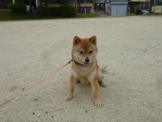 パス待ち