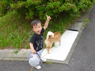 今日もいくぞ