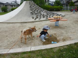 あそぼうぜ