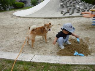 今日はバラバラ