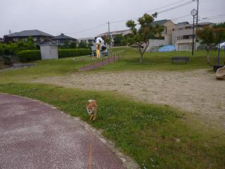 今日もキャッチボール