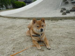 まずは休憩