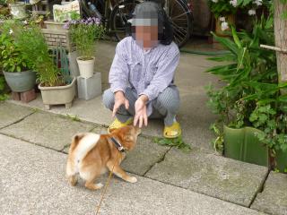 すっかり遊び場