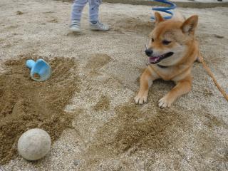 いっしょにあそぼうよ