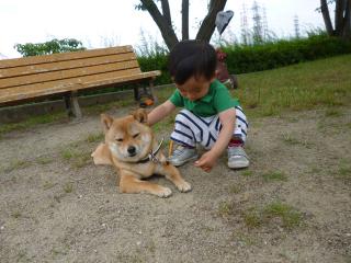 たべなよ