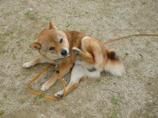 まったくもう!