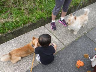 パルちゃんとハル
