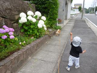いくぞー