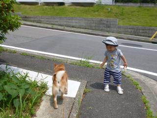 ながよぐ散歩