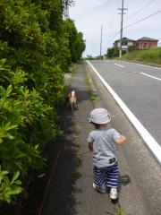 ハルちゃー