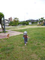 パンダ公園~