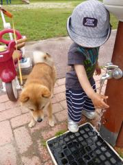 水の奪い合い
