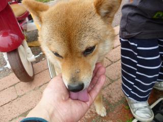 ゴクゴク