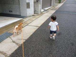 さんぽっぽ