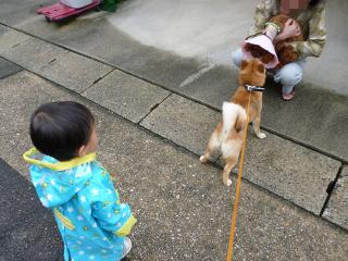 おともだっち