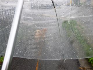 大雨のなか