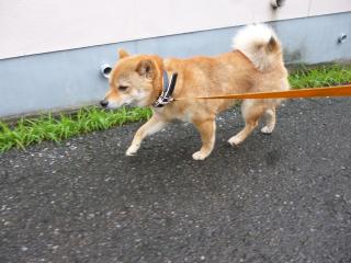 険しい表情