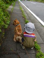 きゅうけい?