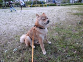 待ち時間なが~