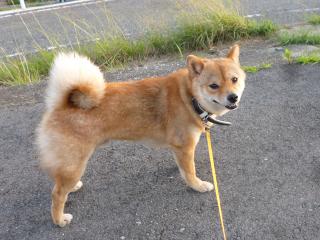 いこうぜ