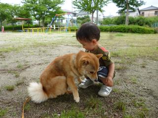 ながよぐ