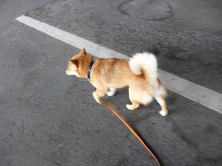迷った4