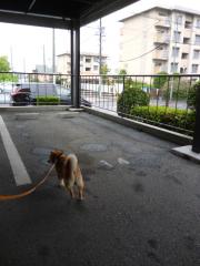 迷った3