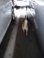 迷った2